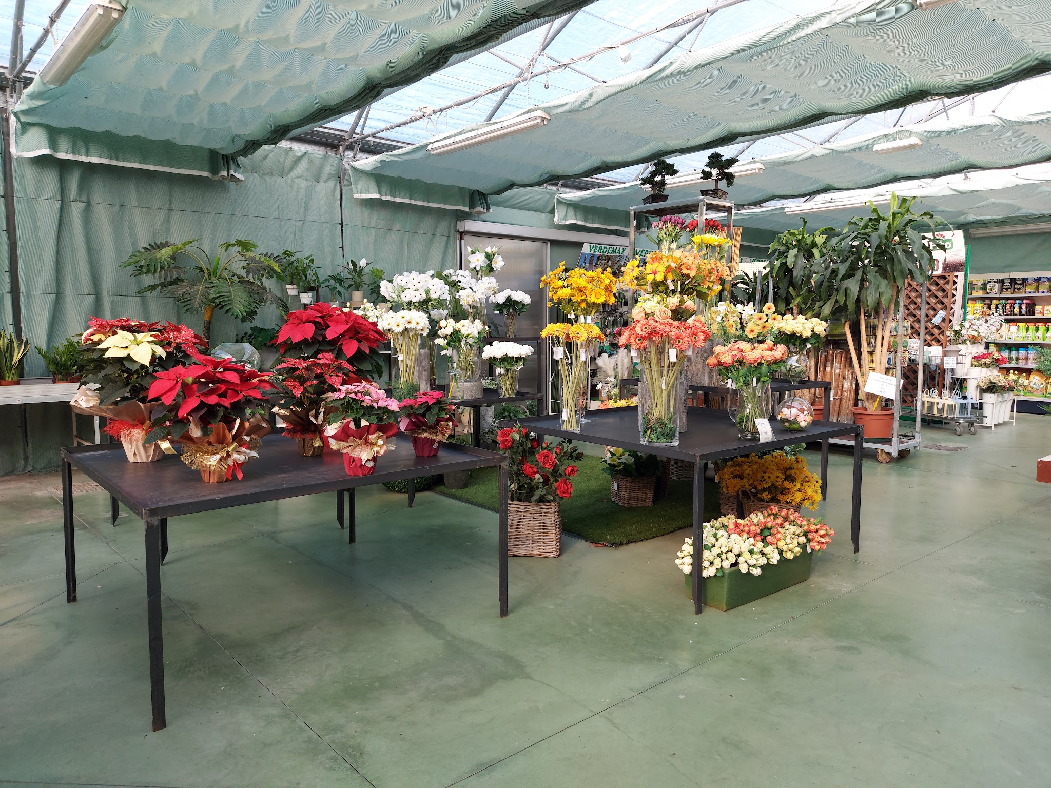 Esposizione interna di fiori e piante